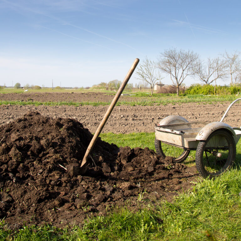 The straight poop on organic fertilizer