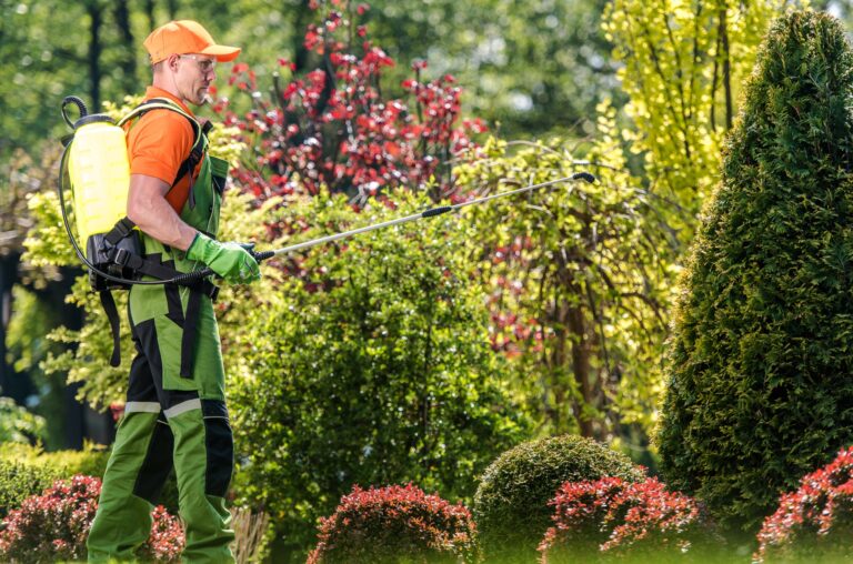 Organic pest control: advantages and disadvantages