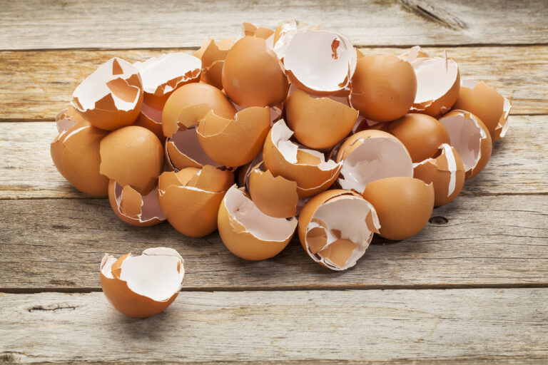 Are you walking on eggshells? You should be!