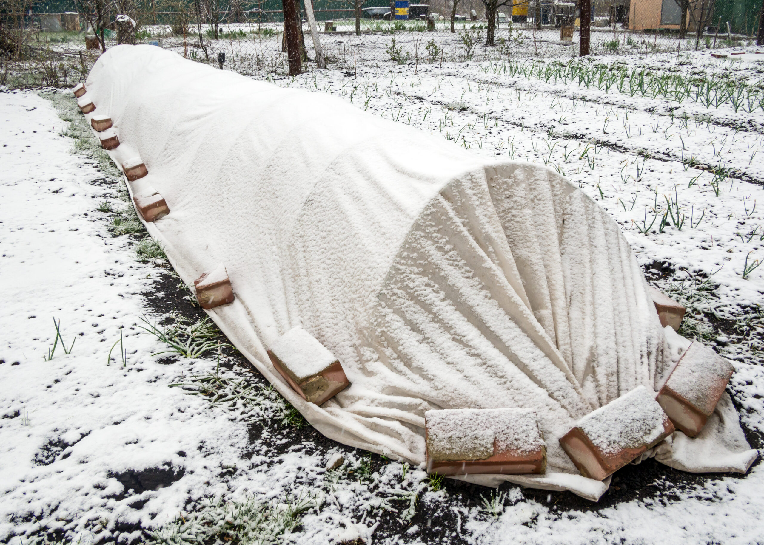 Winter greenhouse