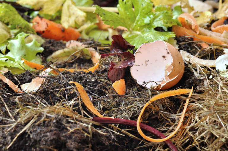 Composting 101