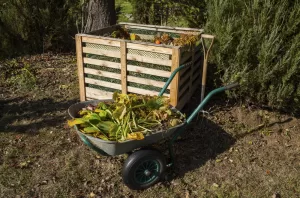 How To Improve Your Soil: 5 Essential Techniques for a Healthier Garden