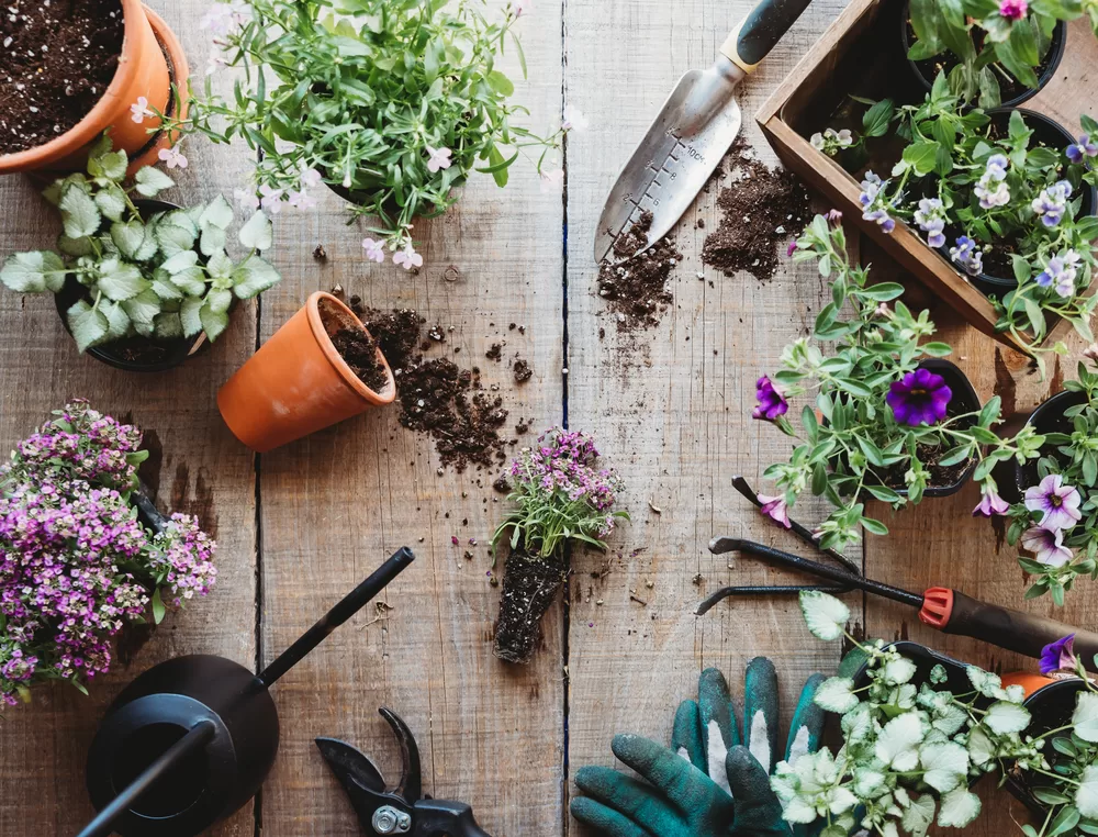 Garden pots and tools